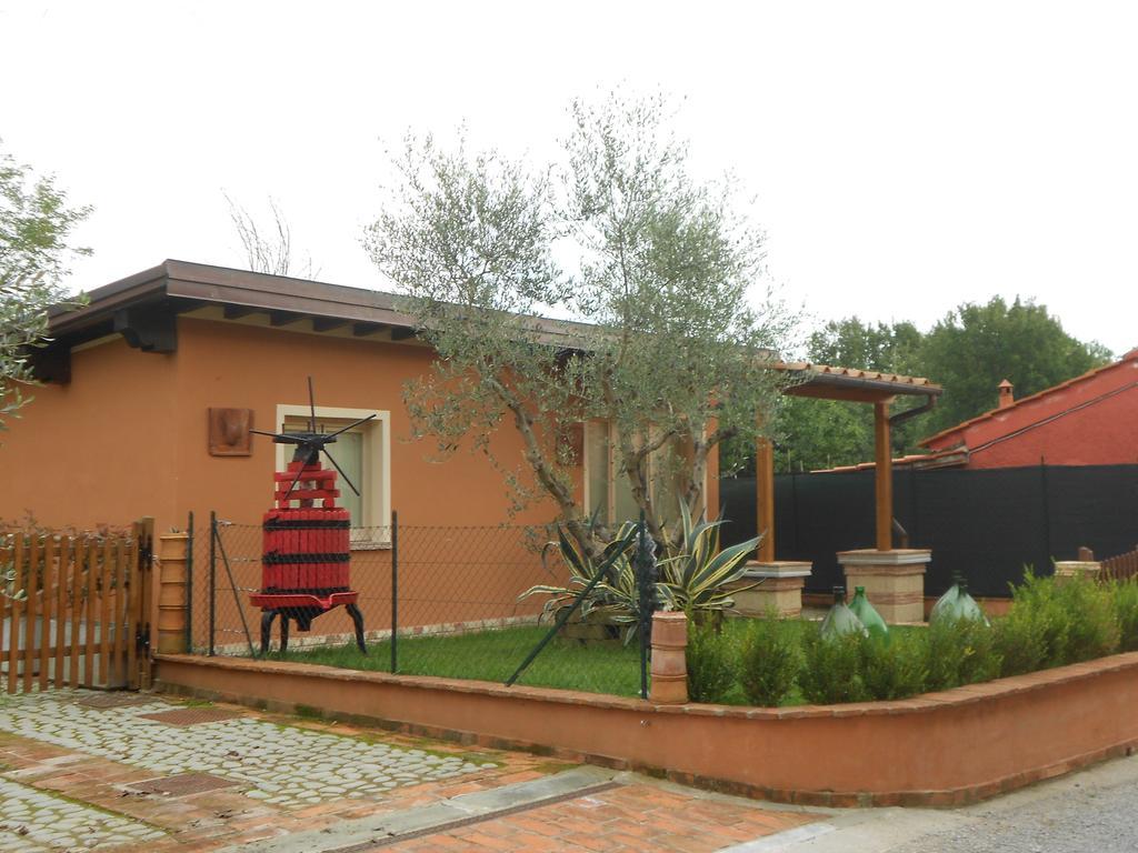 Ulivo Della Querce Villa Querce  Luaran gambar