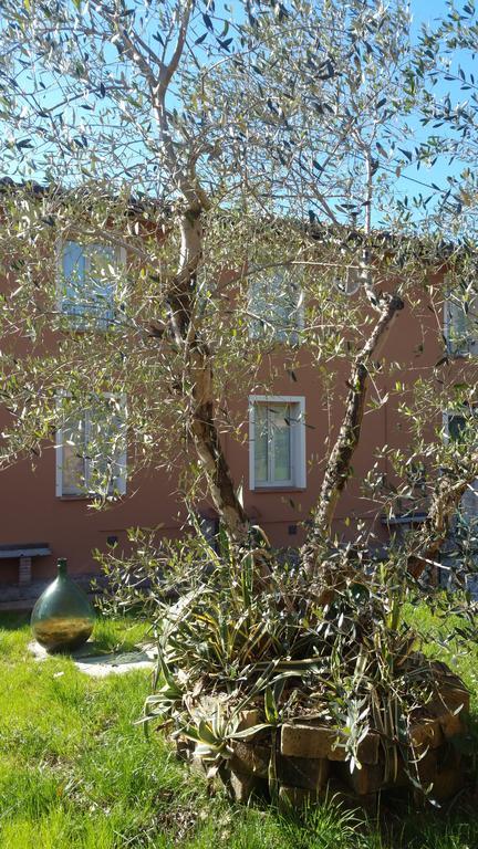 Ulivo Della Querce Villa Querce  Luaran gambar