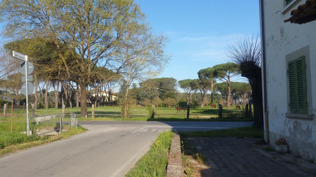 Ulivo Della Querce Villa Querce  Luaran gambar