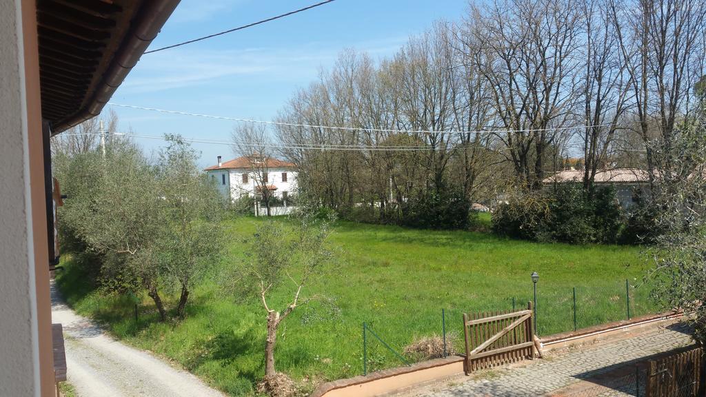 Ulivo Della Querce Villa Querce  Luaran gambar